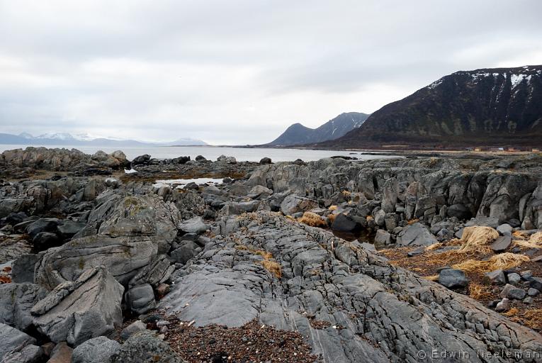 ENE-20090429-0080.jpg - [nl] Laukvik, Austvågøy, Lofoten, Noorwegen[en] Laukvik, Austvågøy, Lofoten, Norway